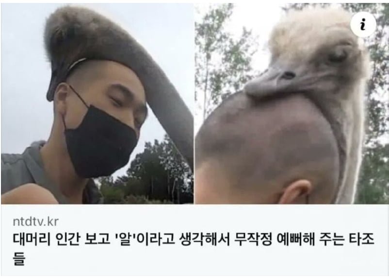 20250531190209_GC01aK1cAC.png?v=7