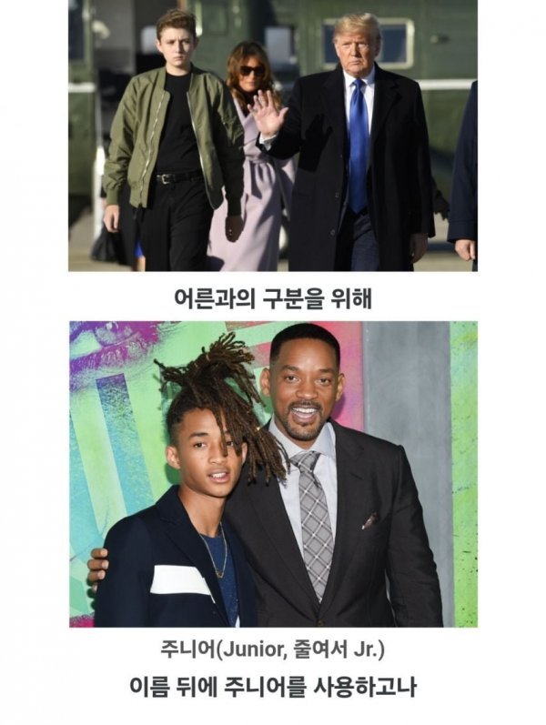 8367363143_486616_0d59d674e792b9a2eb12567b5980bfca.jpeg?v=7