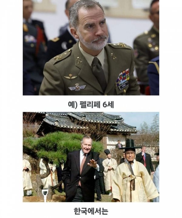 8367363143_486616_cd833753bc3b87361f919fab6a2c9bb2.jpeg?v=7