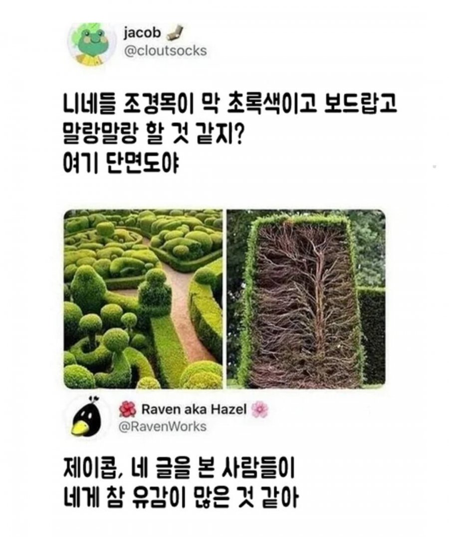 900w_20250506171102_PQ3k762rCE.jpg?v=7