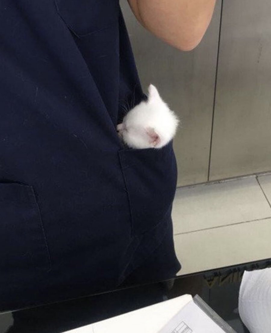 900w_20250507195820_P4eyyKWBRv.jpeg?v=7