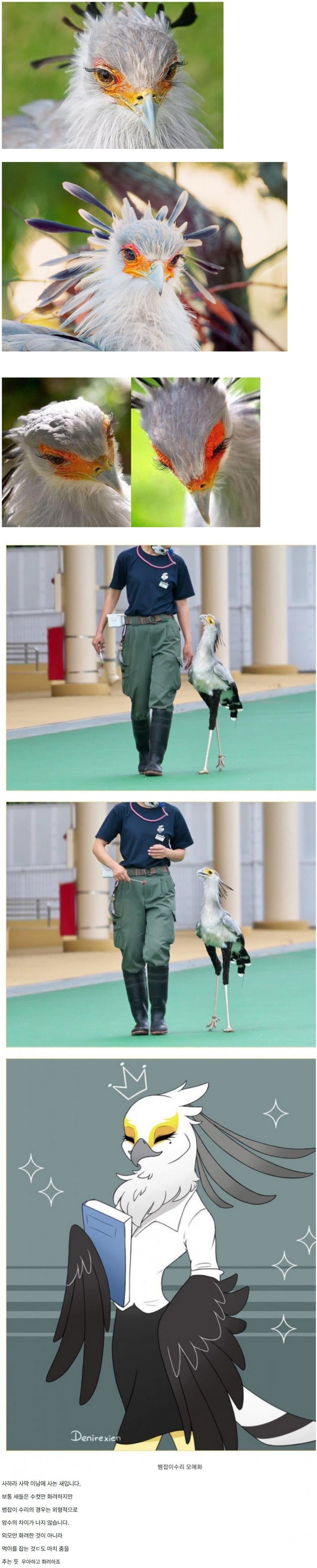 900w_20250508185736_Kk2h2Utovl.jpg?v=7