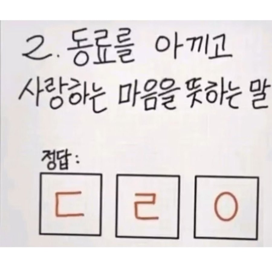 900w_20250508193340_9VuHhJvHKR.jpg?v=7