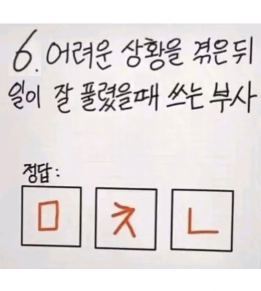 900w_20250508193348_7QefJLppX6.jpg?v=7