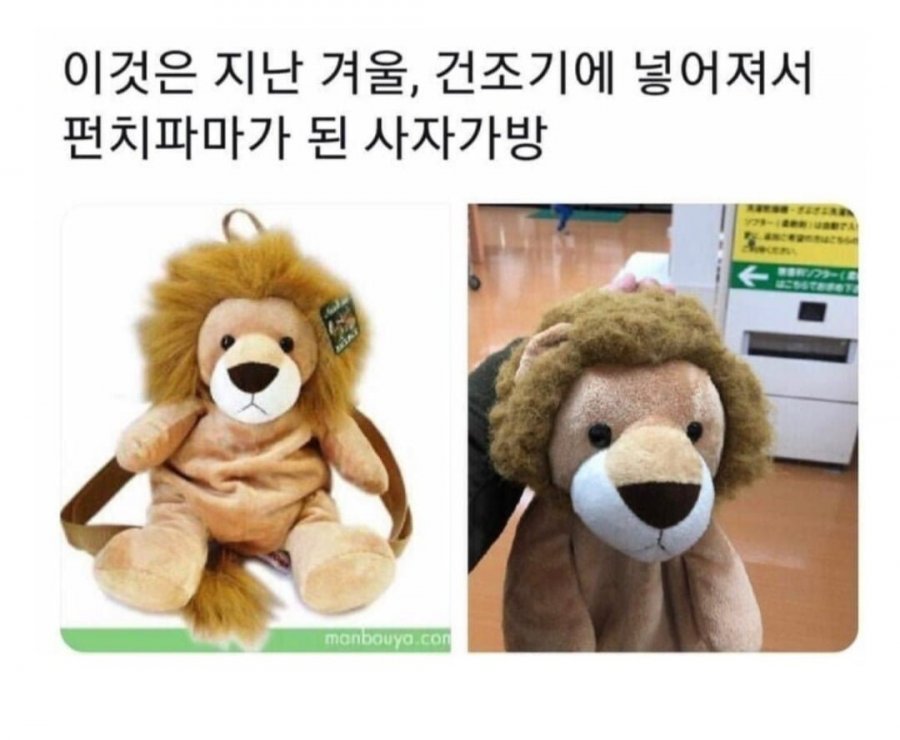 900w_20250509231824_D3LQv93ATR.jpg?v=7
