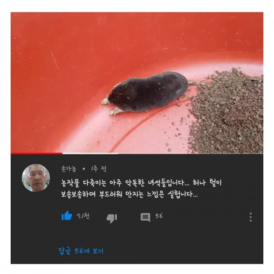 900w_20250510173940_gBhfREHyqB.jpg?v=7