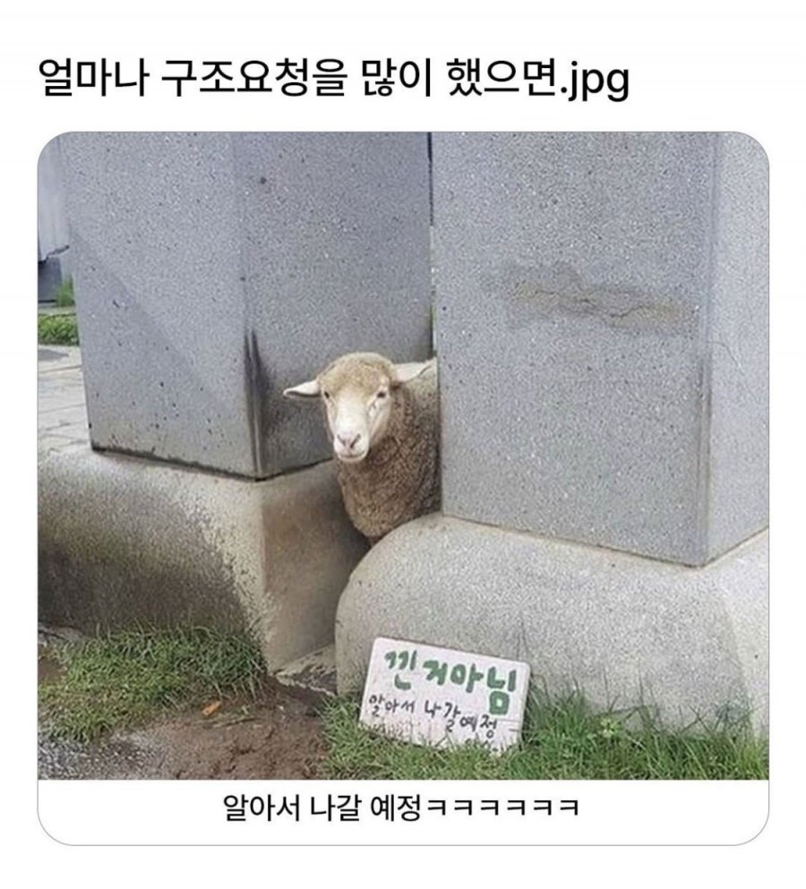 900w_20250510181631_dmtZQrAwSW.jpeg?v=7