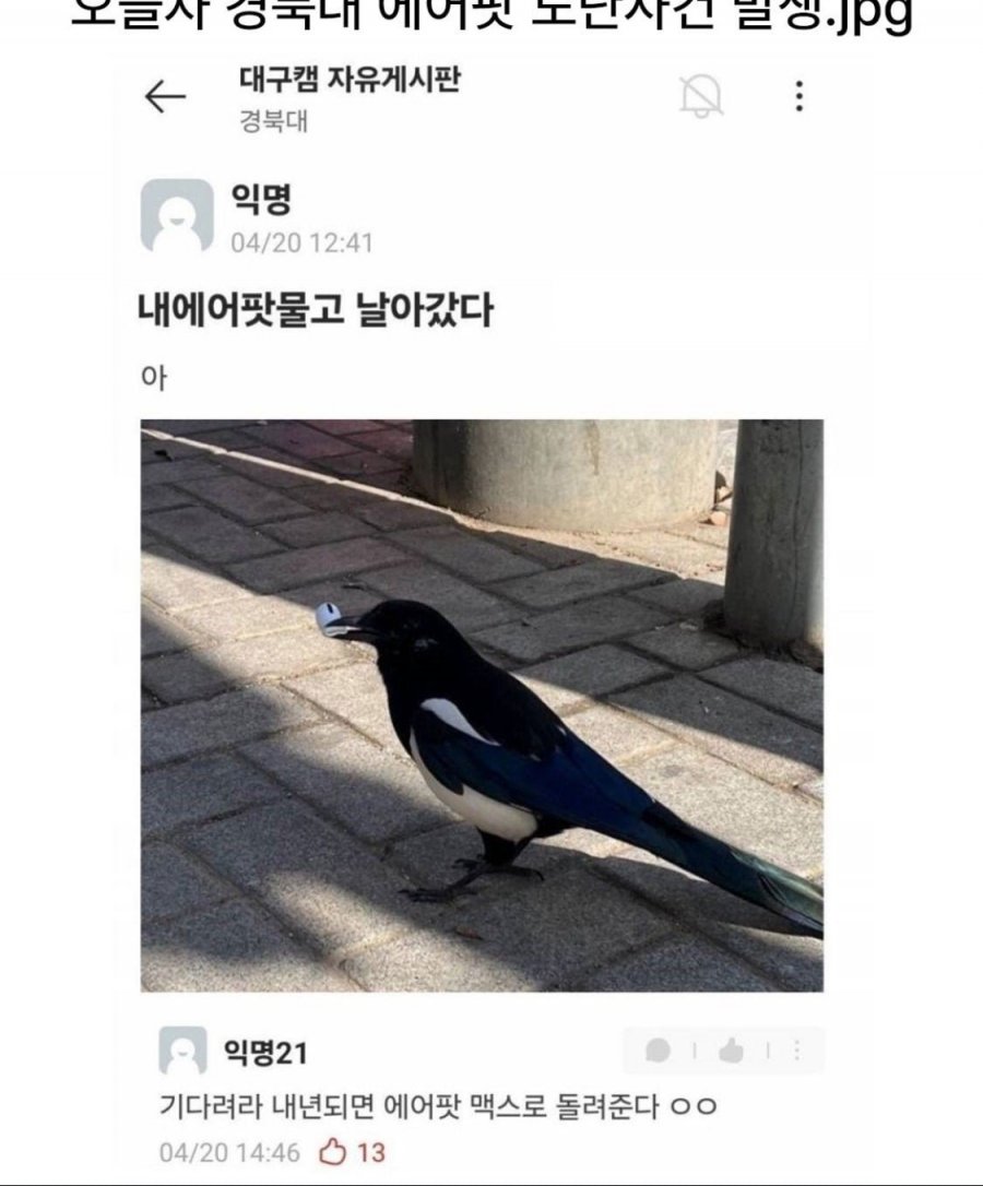 900w_20250510182234_StsU1ypFv3.jpeg?v=7