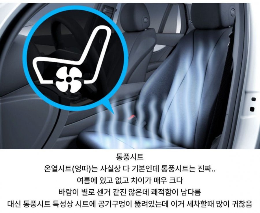 900w_20250511161336_4RvjuHUJsc.jpeg?v=7