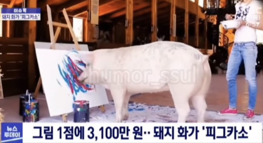 900w_20250512140828_99MNojkSdd.jpeg?v=7