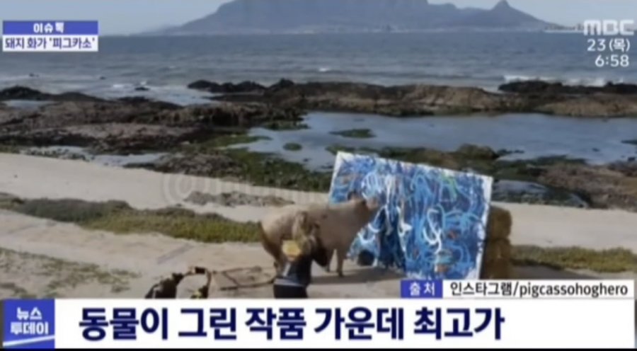 900w_20250512140831_2KqVsQGcOY.jpeg?v=7