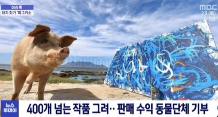 900w_20250512140831_DcYz6PRbRA.jpeg?v=7