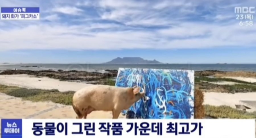 900w_20250512140832_QuCj4wykad.jpeg?v=7