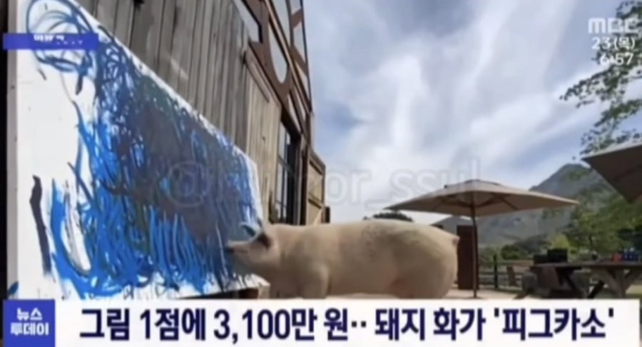 900w_20250512140832_i8WioWZZ6V.jpeg?v=7