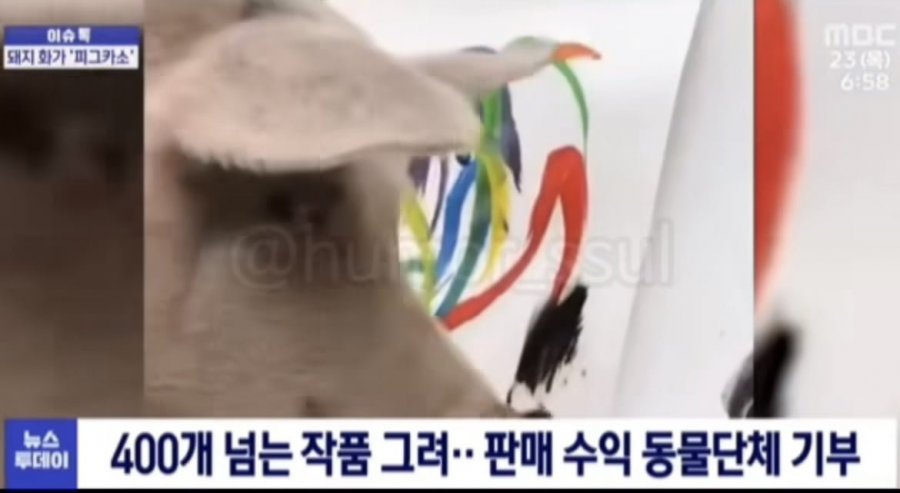 900w_20250512140833_T9eDYeOR1R.jpeg?v=7