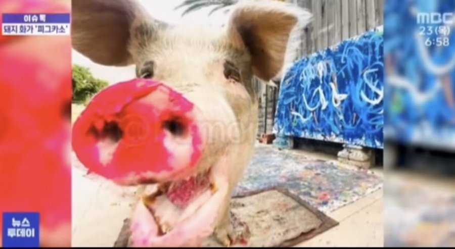 900w_20250512140835_xFTZDRS7dU.jpeg?v=7