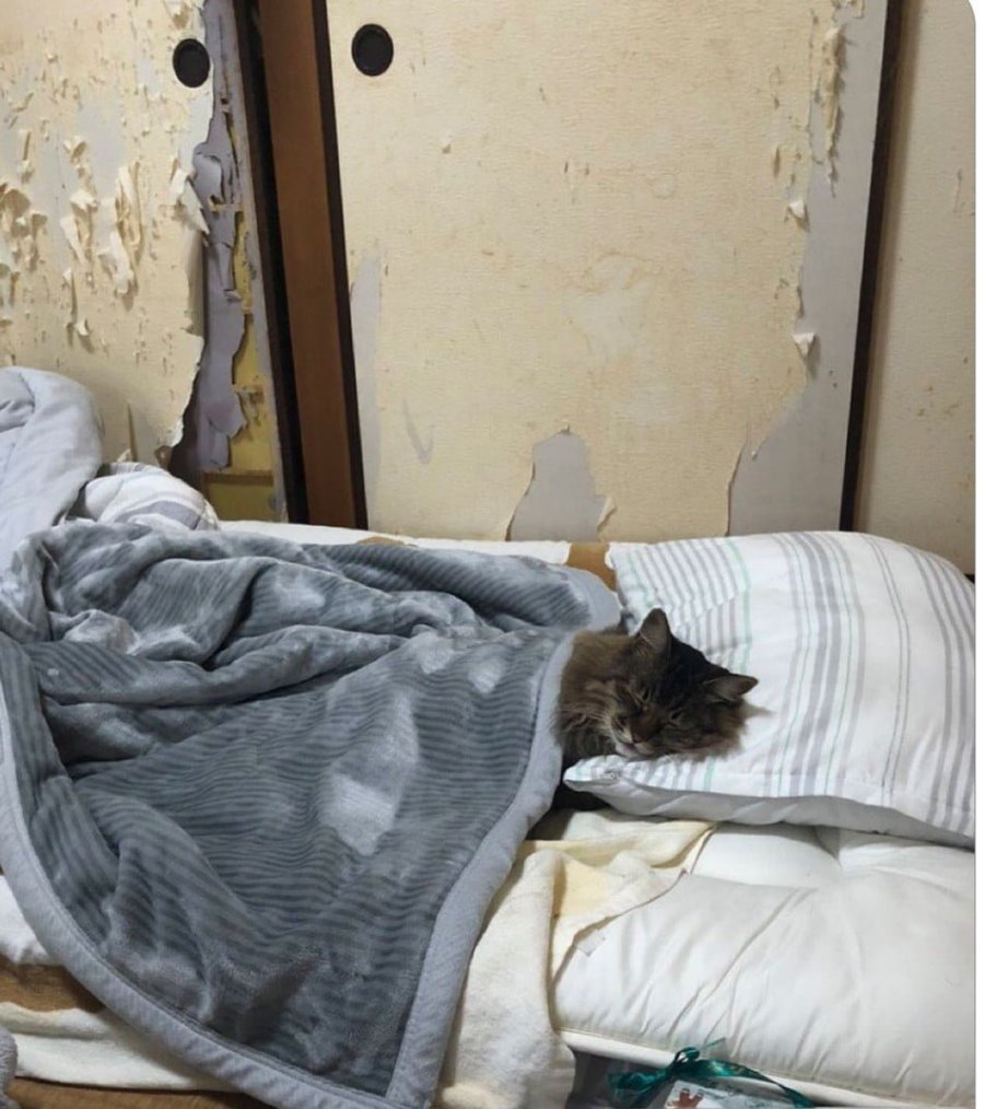 900w_20250512152009_DGktj1gVMd.jpg?v=7