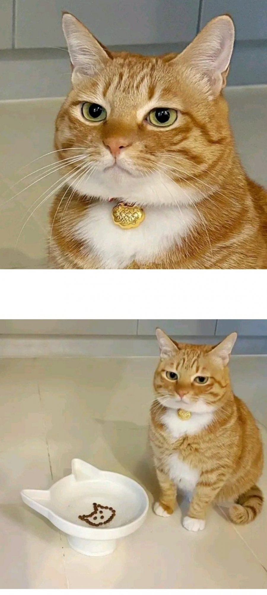 900w_20250513105644_kGvfkAvgWq.jpeg?v=7