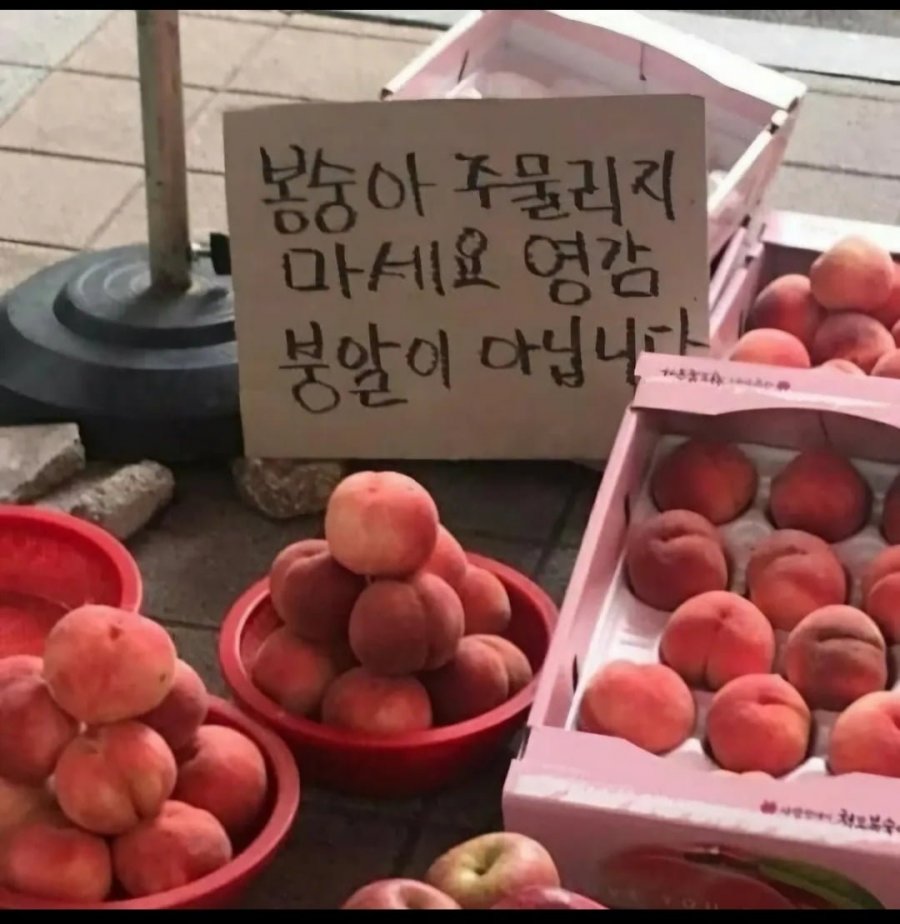 900w_20250515121122_odDn7jb89t.jpg?v=7