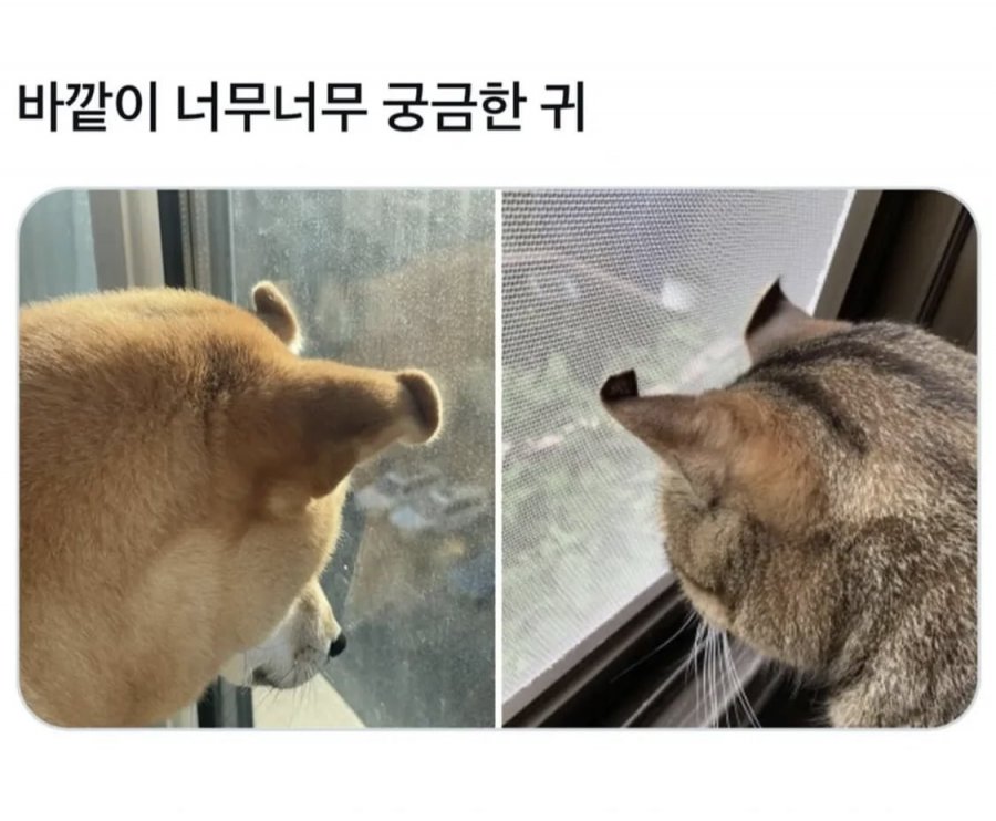 900w_20250515200312_ZPkZI8t9Az.jpg?v=7