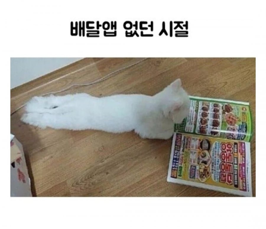 900w_20250516000744_ZZILHqKP7H.jpg?v=7