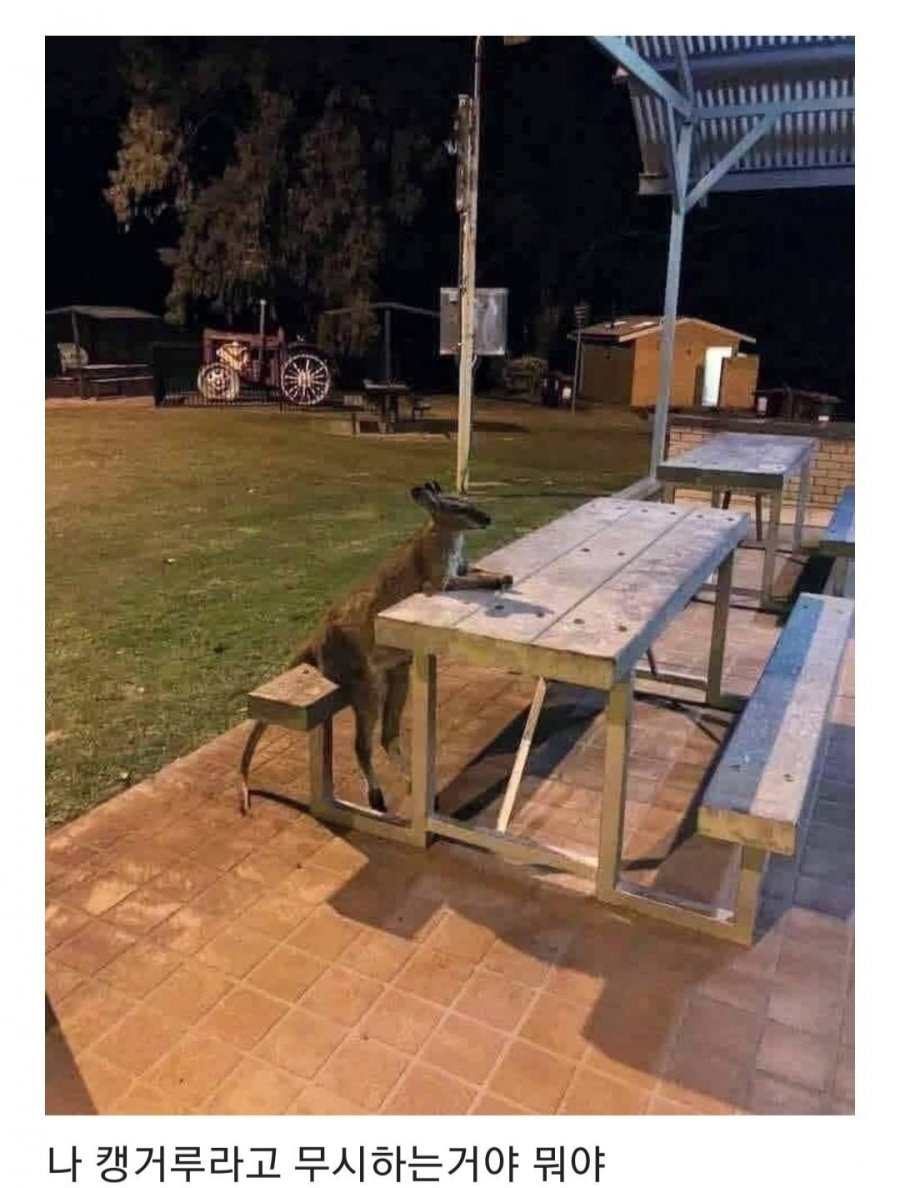 900w_20250516170821_zfTW3uVRGw.jpg?v=7