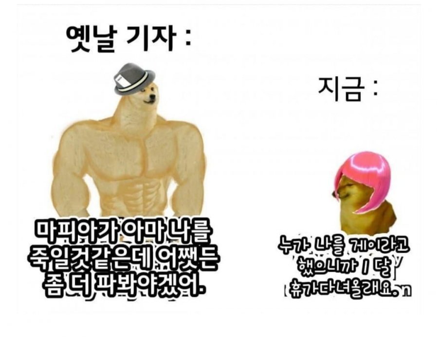 900w_20250516225127_9SB3l8LroY.jpg?v=7