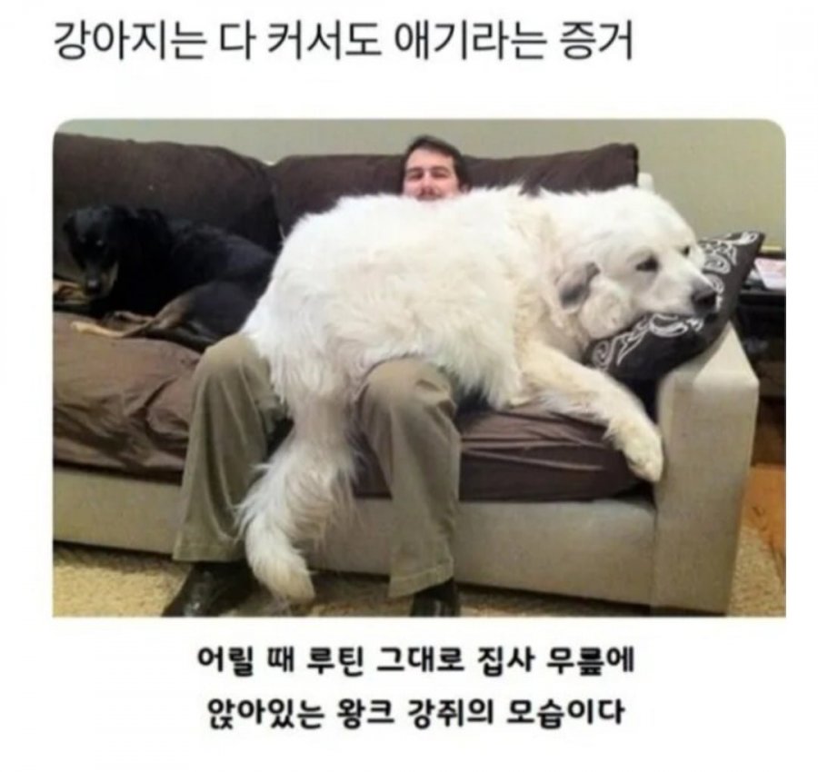 900w_20250517194443_uDOyUdJofm.jpg?v=7