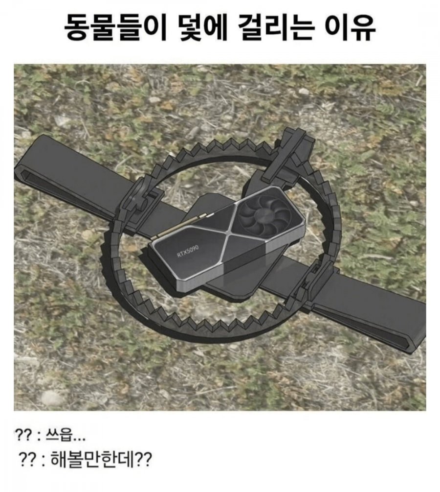 900w_20250522033155_of9sjaccNN.jpg?v=7