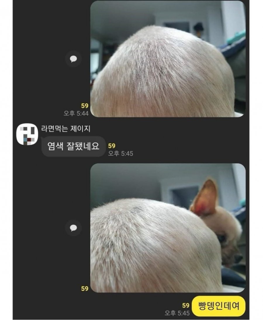 900w_20250522143217_920BCKIGio.png?v=7