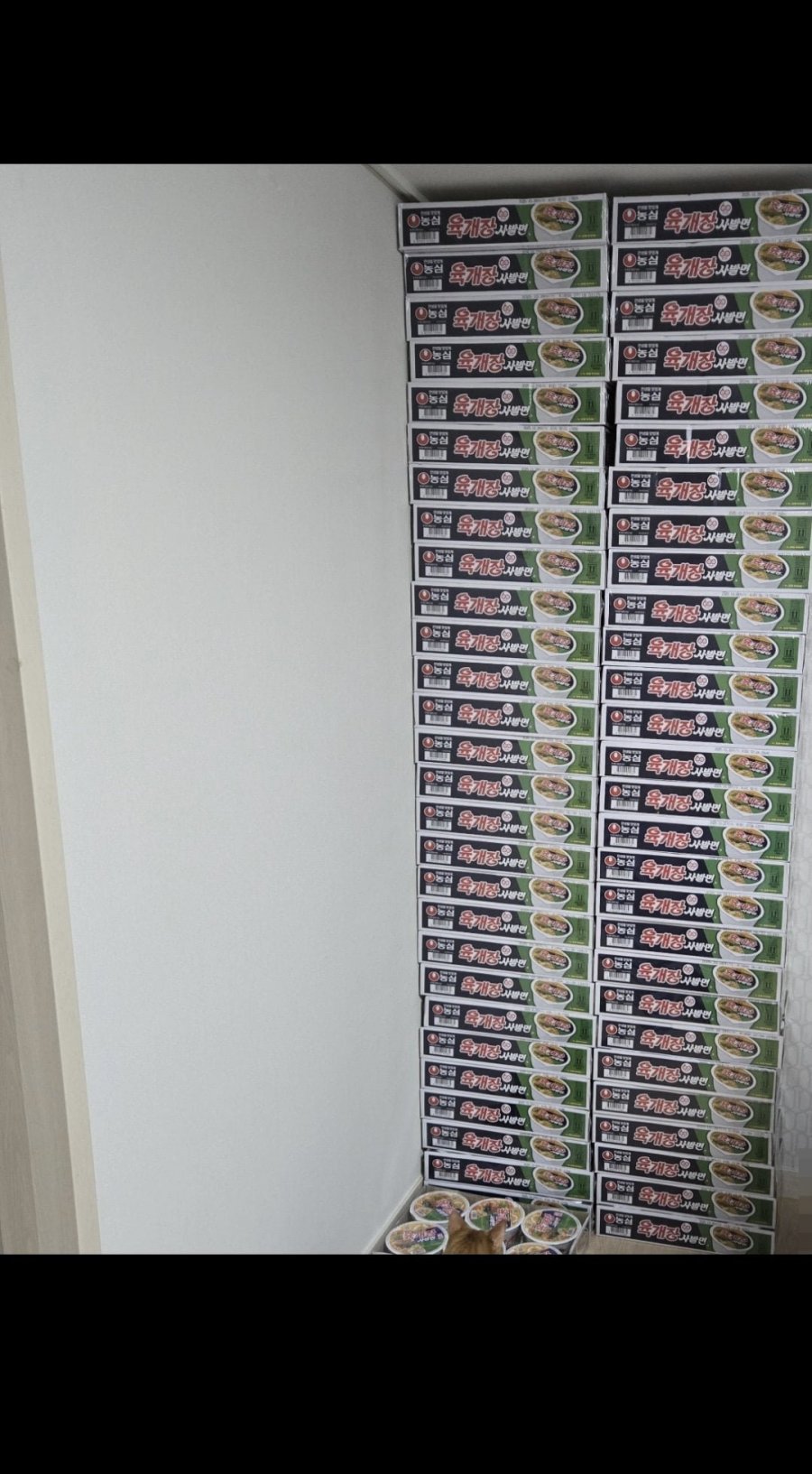 900w_20250523171853_RqlvmeaDs6.jpeg?v=7