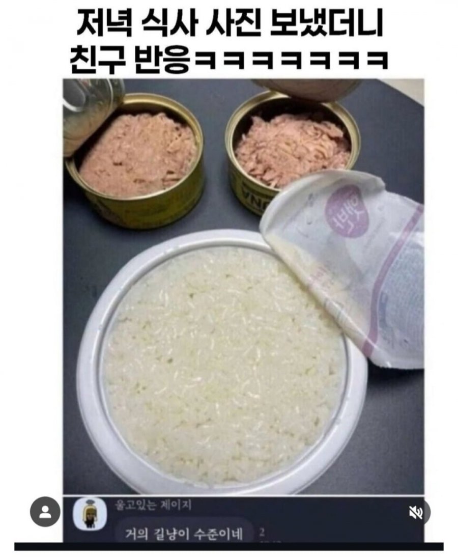 900w_20250523221139_QXIwJzg7al.jpg?v=7