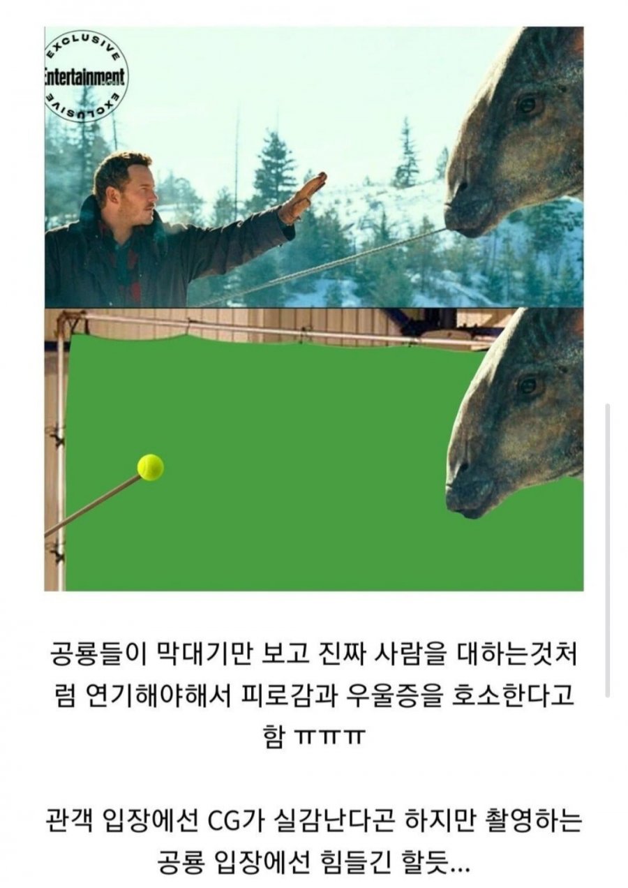 900w_20250524015247_tJ7FmQzqKD.jpg?v=7