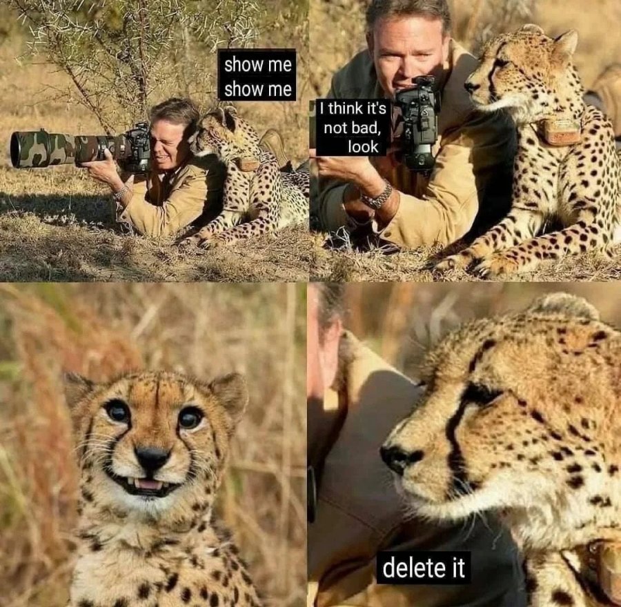 900w_20250524100418_1DMX8Nmf9B.jpeg?v=7