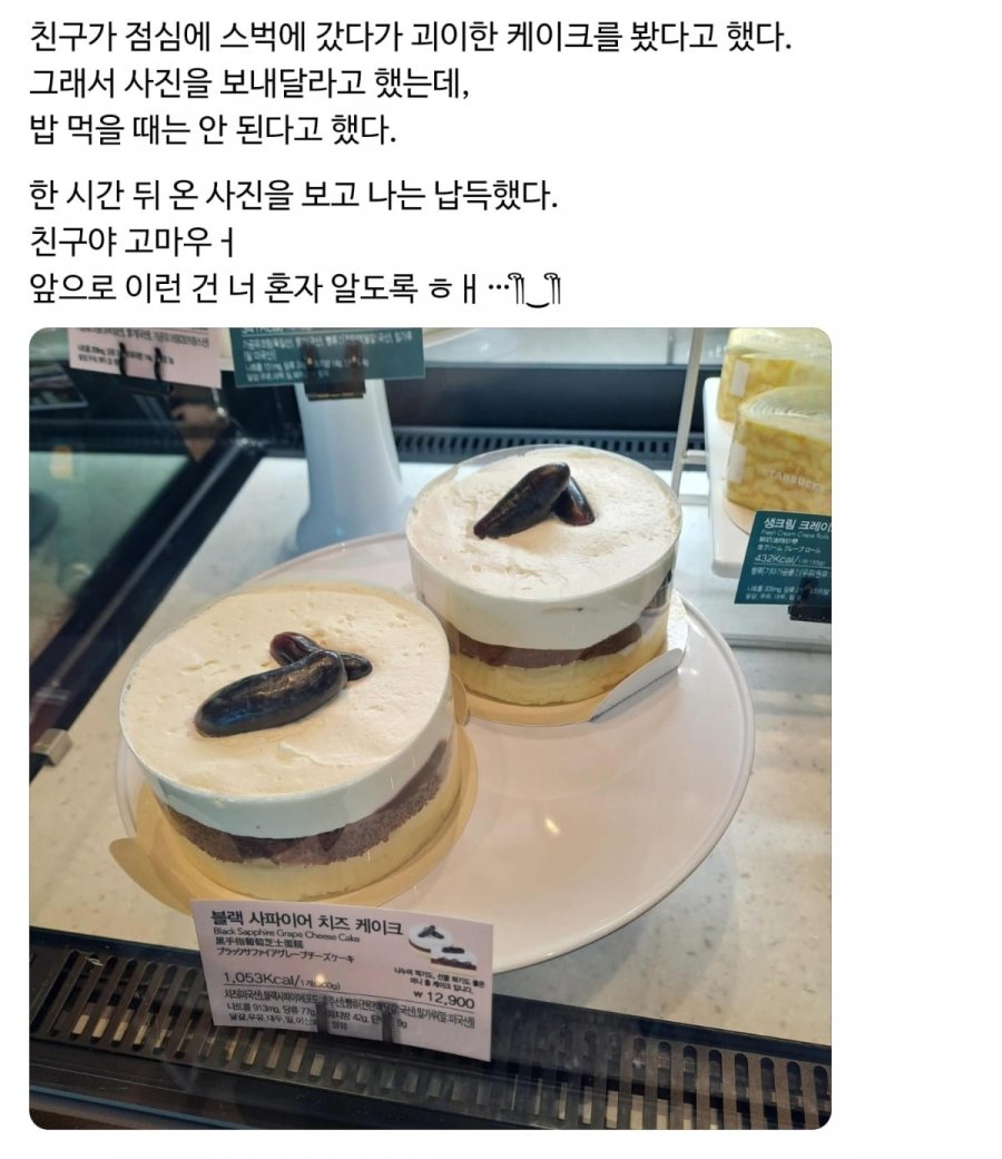 900w_20250525104905_kihoEzPCR0.png?v=7