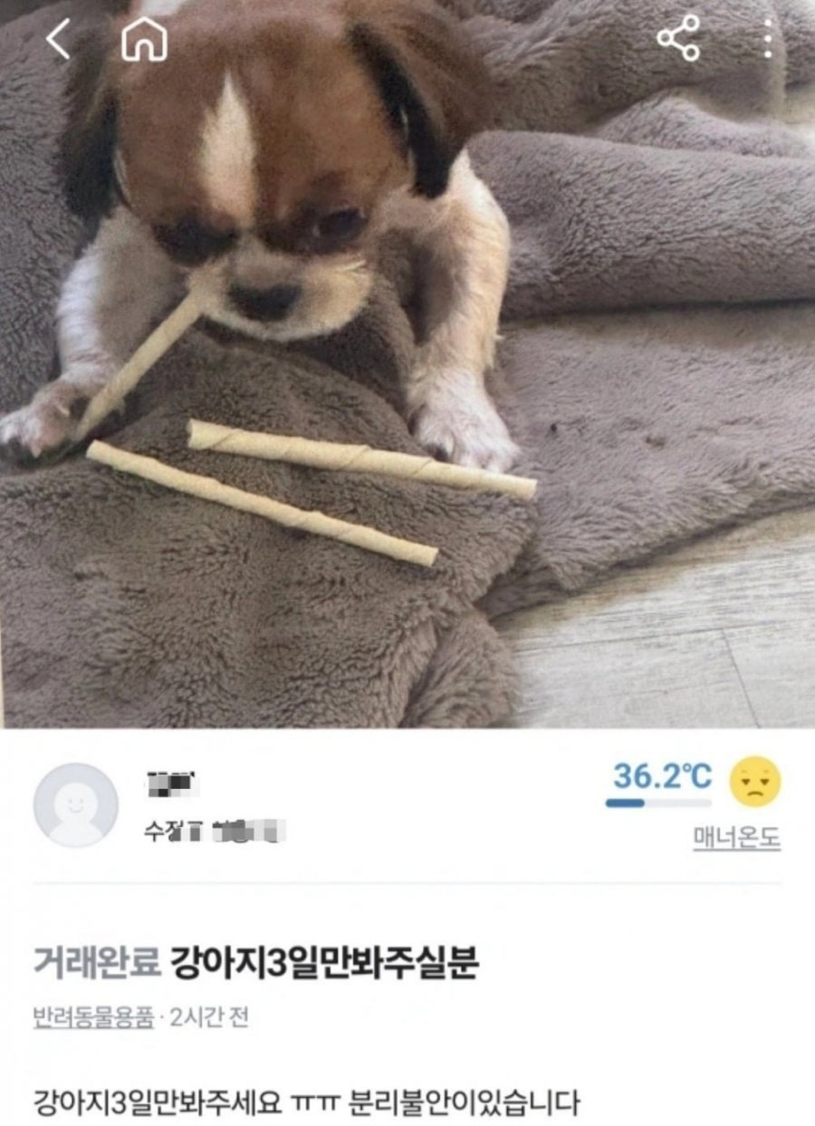 900w_20250525152733_55qiErPNNQ.jpeg?v=7