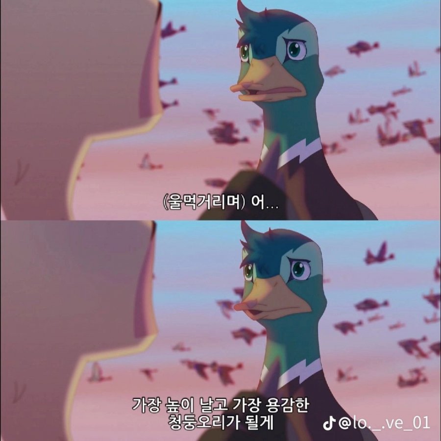 900w_20250526011309_HyhXjTR1tJ.jpg?v=7