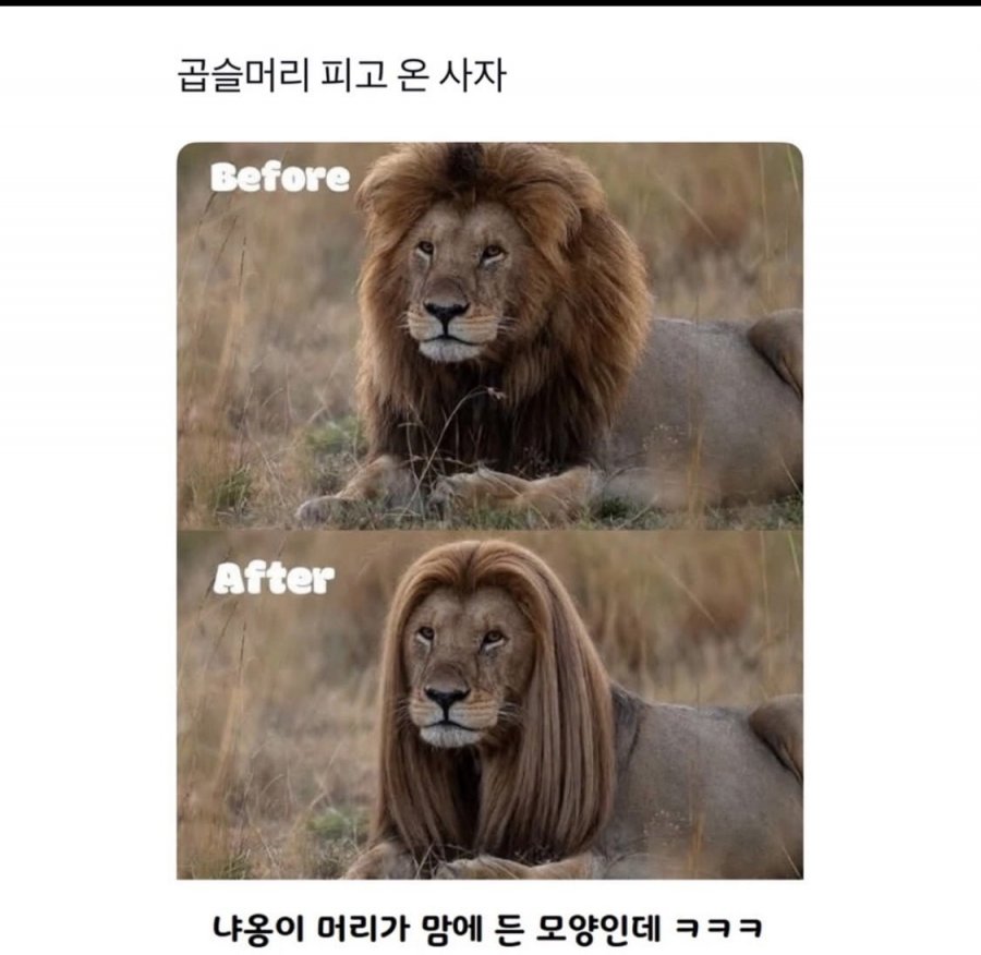 900w_20250526030644_7eEoaD4Hst.png?v=7
