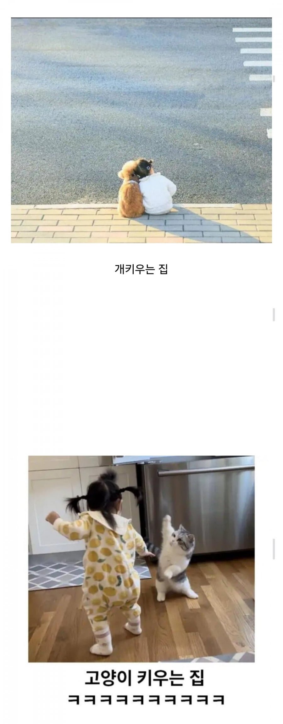 900w_20250526155016_T3r9WRTRrU.jpg?v=7