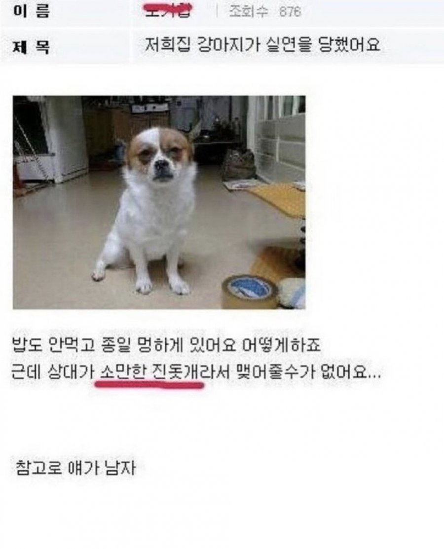 900w_20250526164406_tKGJ2QElGC.jpeg?v=7