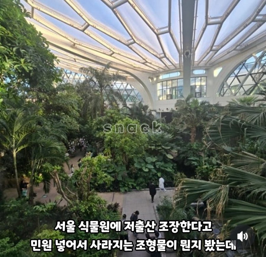 900w_20250526185455_C6wNefYgGn.jpg?v=7