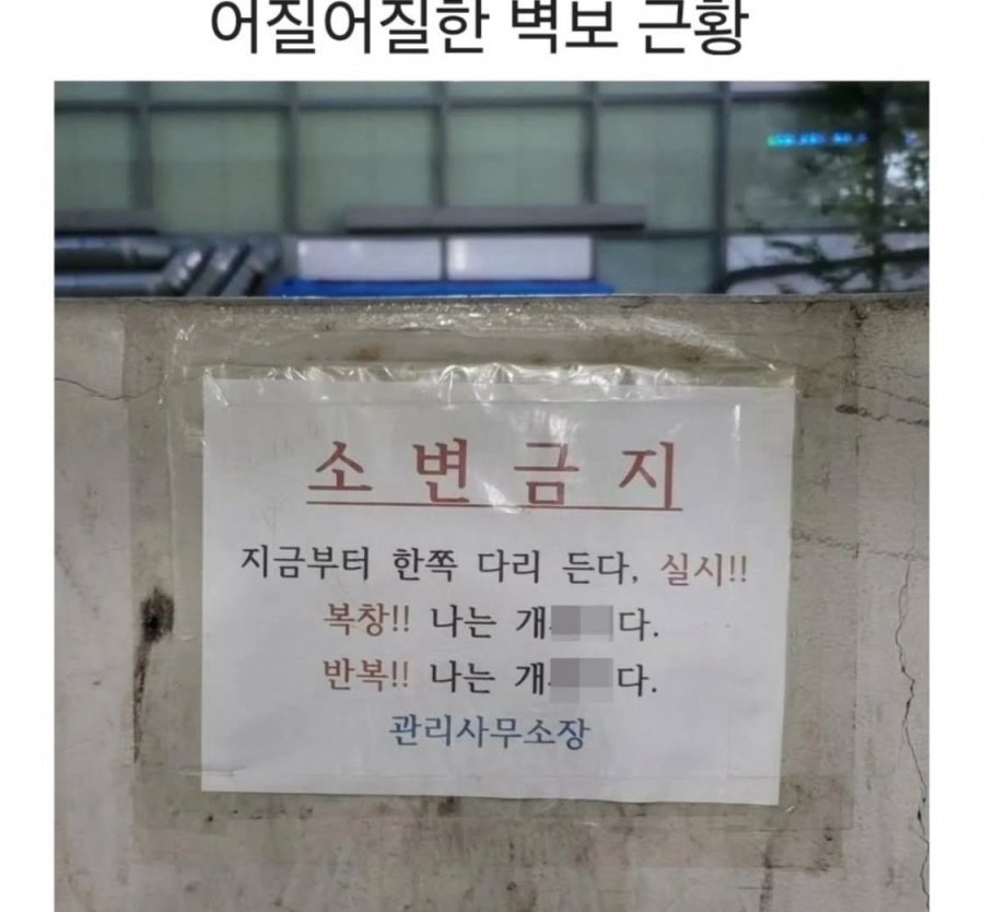 900w_20250528002010_NWyCvsBCfq.png?v=7