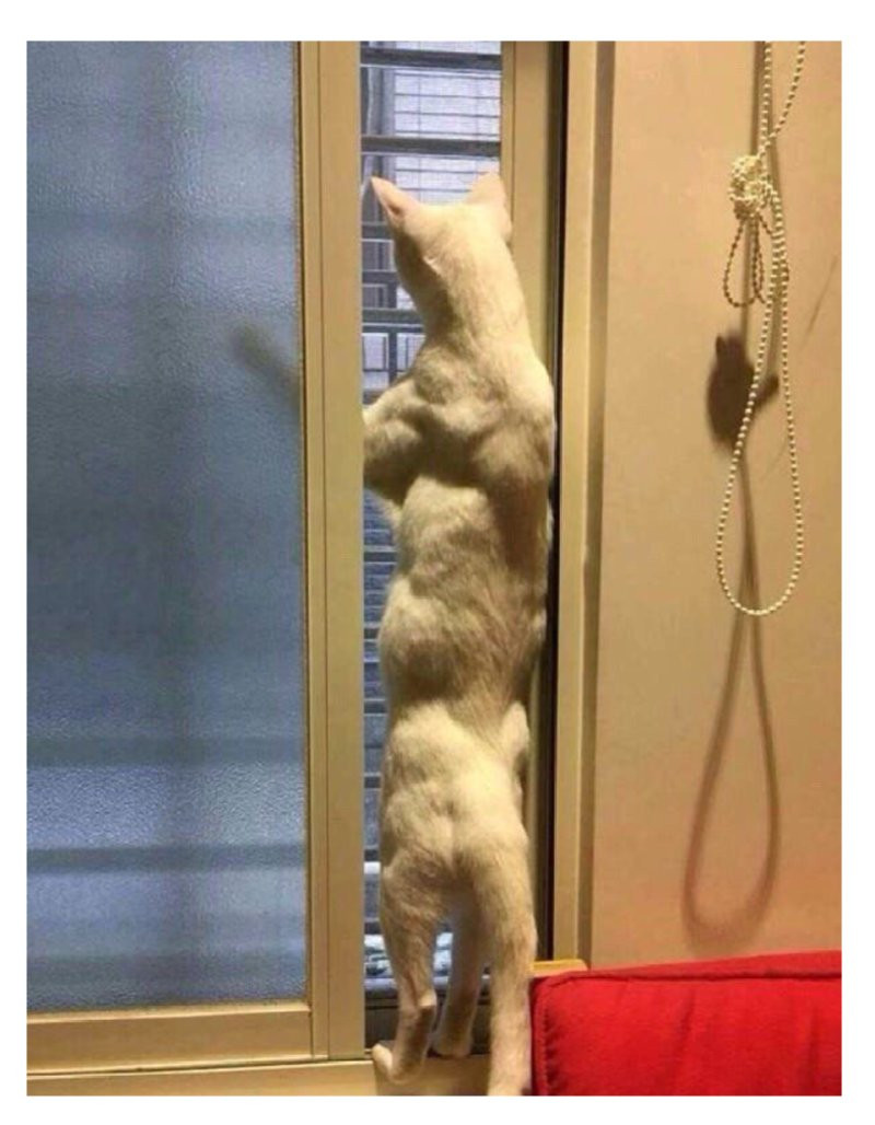 bt9ae0c802cf9f3b258c4b9a419aa36510.png?v=7