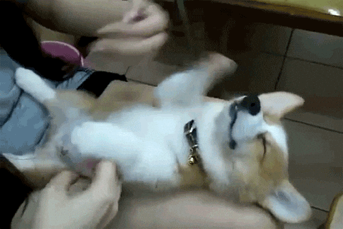 20250601211904_gdTxbvVGLx.gif?v=7
