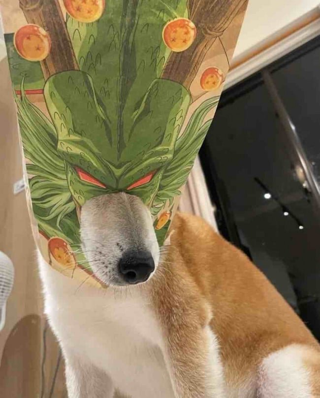 20250604134430_m1fXvTBGWU.jpg?v=7