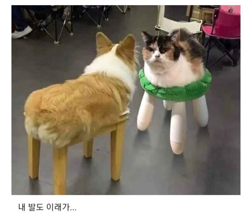 20250604224354_w8bEmbLCKO.jpg?v=7