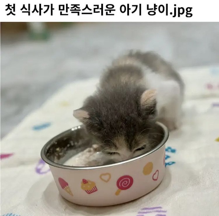 20250605133505_uL81J5ewJm.jpeg?v=7