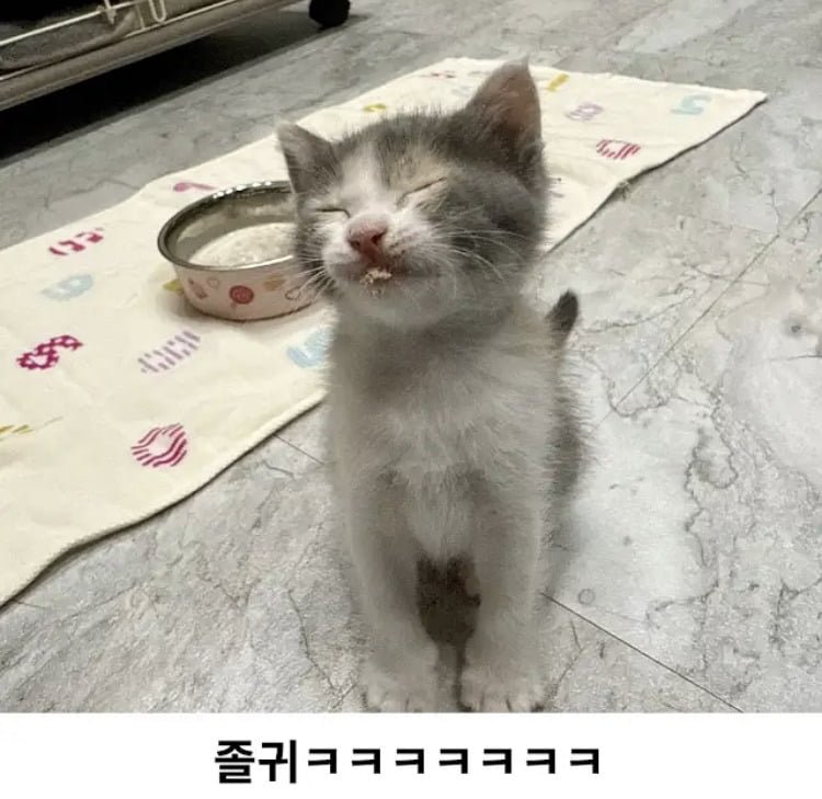 20250605133508_4m9J4vsnih.jpeg?v=7
