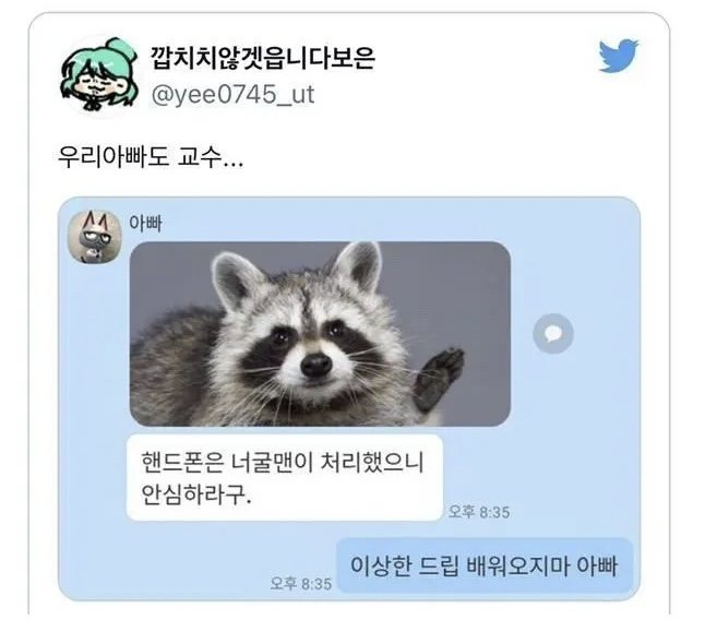 20250605134603_JpYmr8welN.jpeg?v=7