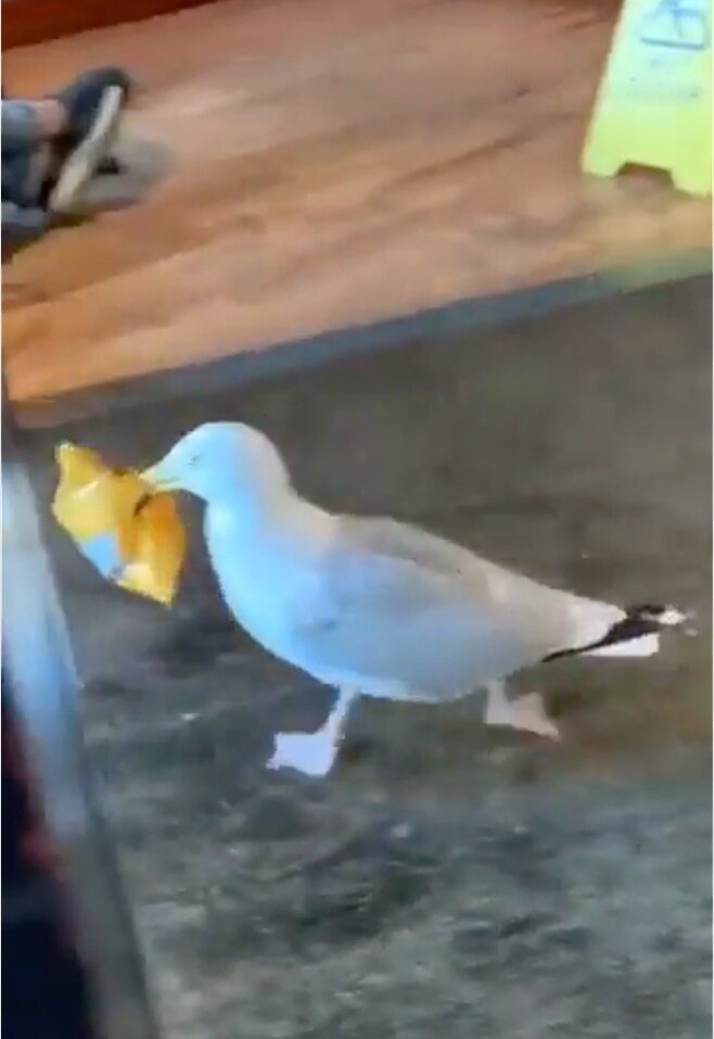 20250606111806_IAK1FgOB0h.jpeg?v=7